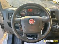 Fiat DUCATO 33 2.0 MJT PM-DC | Leggero Furgone <= 35 q.li Altro | INDUSTRIAL CARS S.P.A