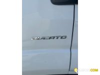Fiat DUCATO Ducato 35 2.3 MJT 140CV PLM-TM Furgone | Leggero Furgone <= 35 q.li Furgone di serie / Van | INDUSTRIAL CARS S.P.A